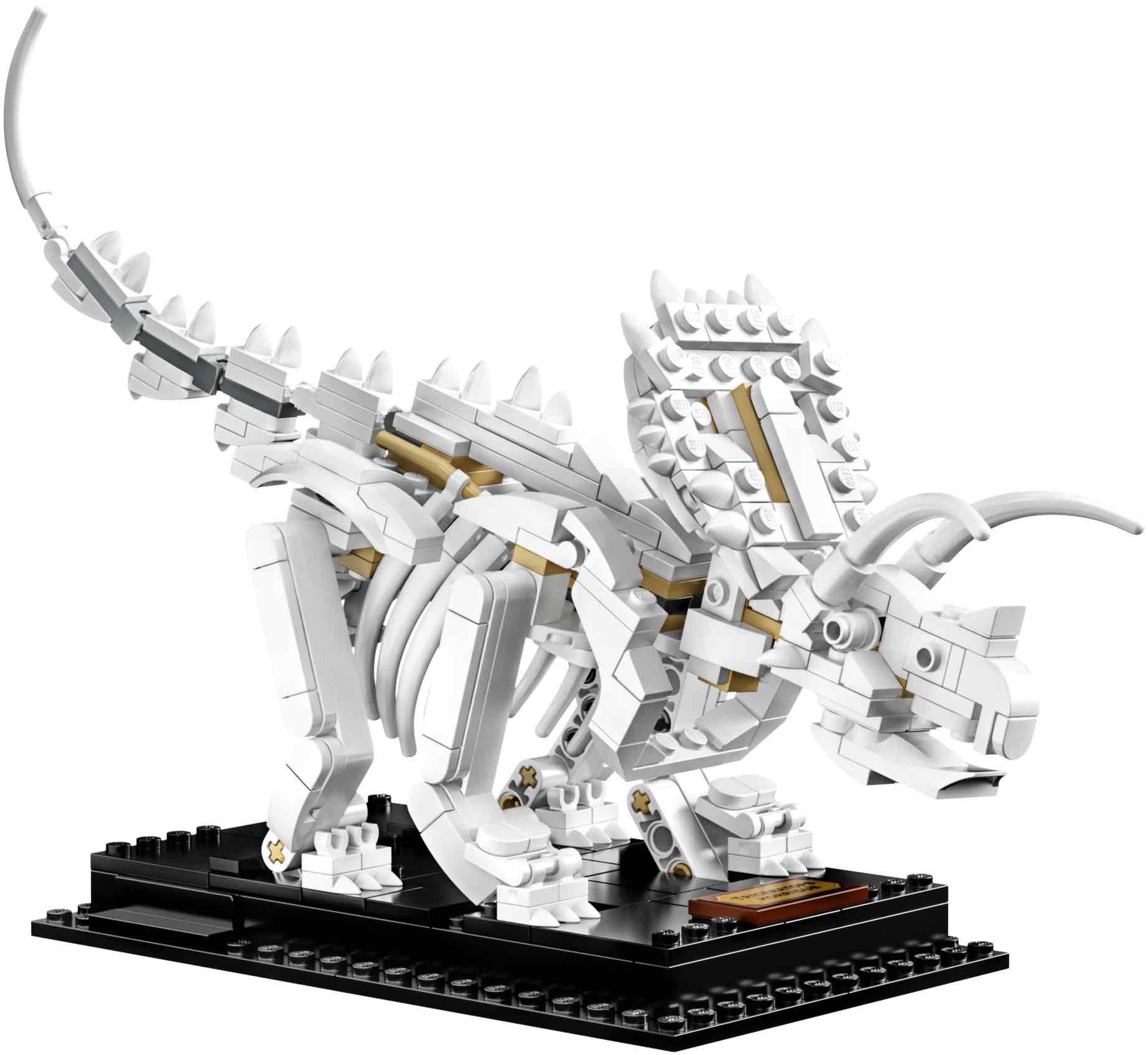 LEGO® 21320 Dinosaur Fossils - 4