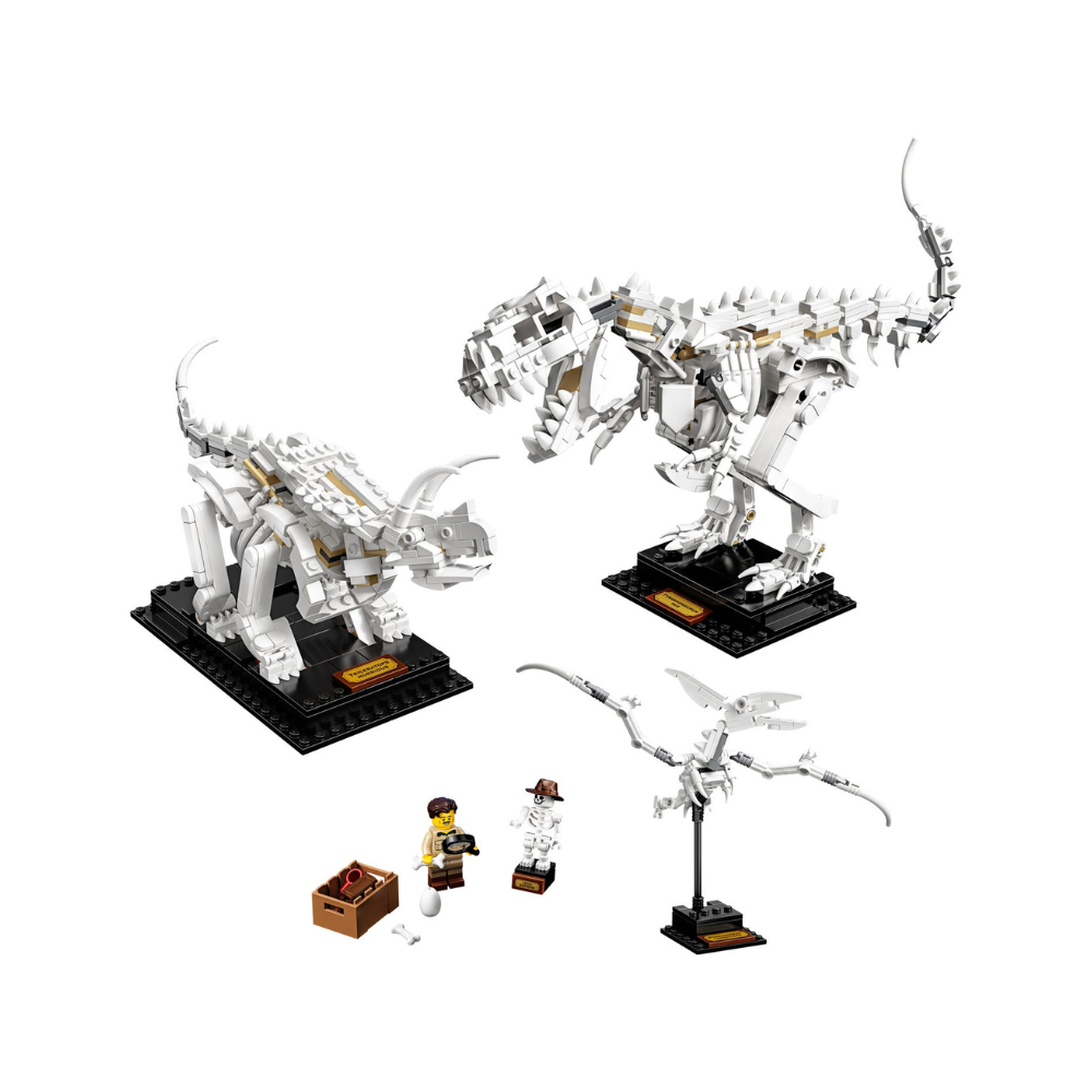 LEGO® 21320 Dinosaur Fossils - 8