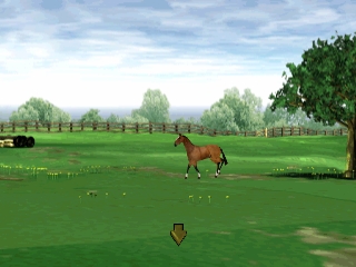 Mary King's Riding Star PS1 - 3