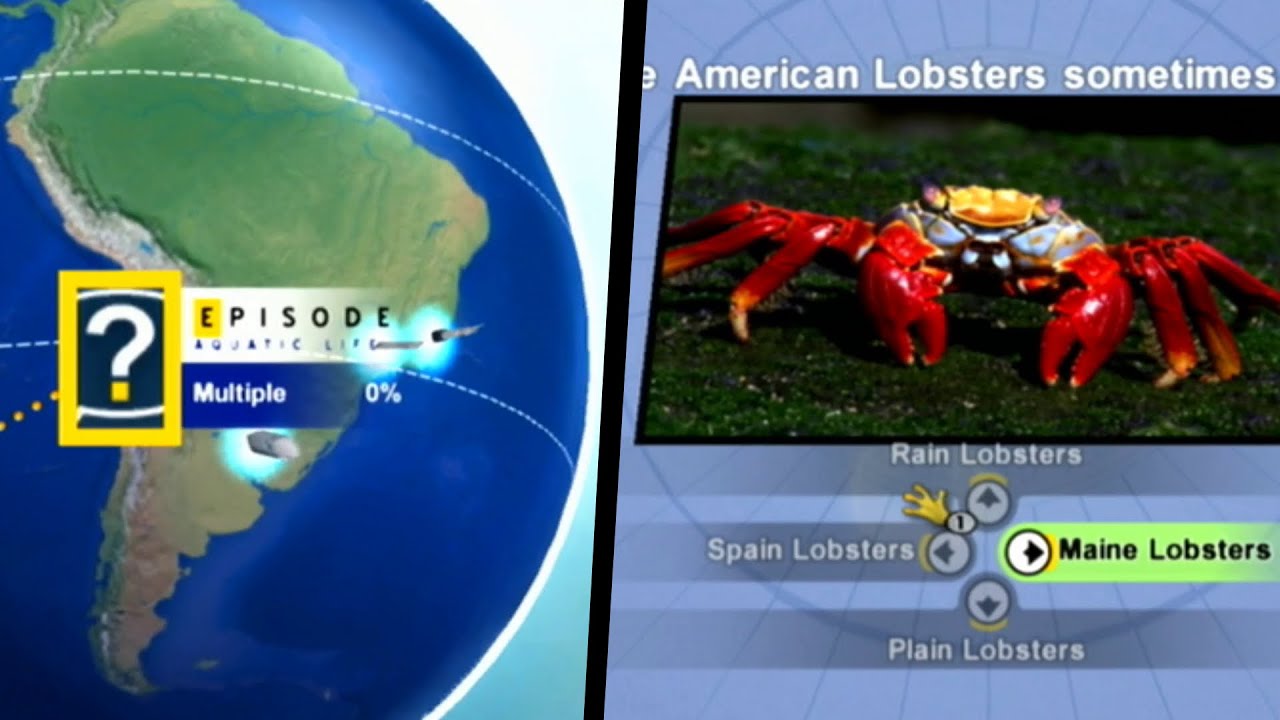 Nat Geo Quiz: Wild Life - Wii - 2