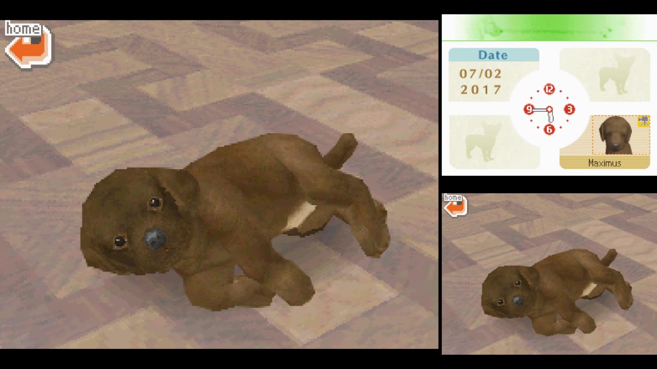 Nintendogs Lab and Friends / kártya/ Nintendo DS - 3