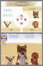 Nintendogs-Chihuahua and friends /kártya/ Nintendo DS  - 3