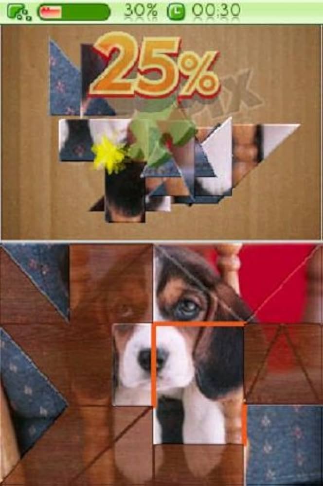 Jig A Pix Pets - Nintendo DS - 2