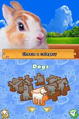 Jig A Pix Pets - Nintendo DS - 3
