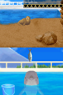 My Pet Dolphin - Nintendo DS - 2