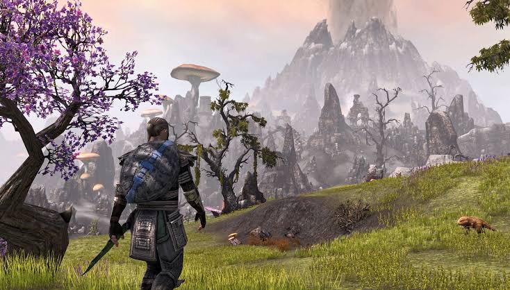 The Elder Scrolls Online Tamriel Unlimited - PS4 - 3