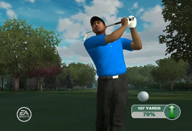 Tiger Woods PGA Tour 09 - PS3 - 3