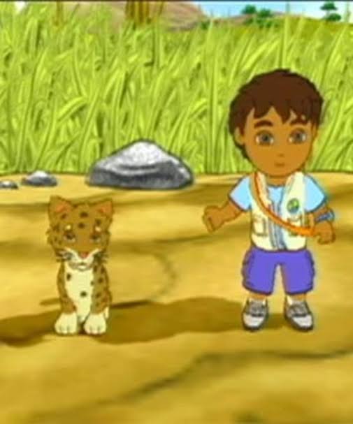 Go Diego Go Safari Rescue - PS2 - 2
