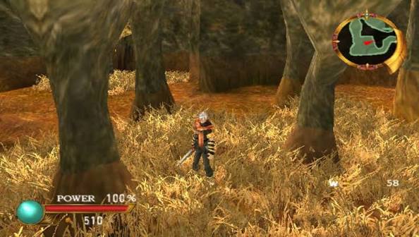 EverGrace - PS2 - 3